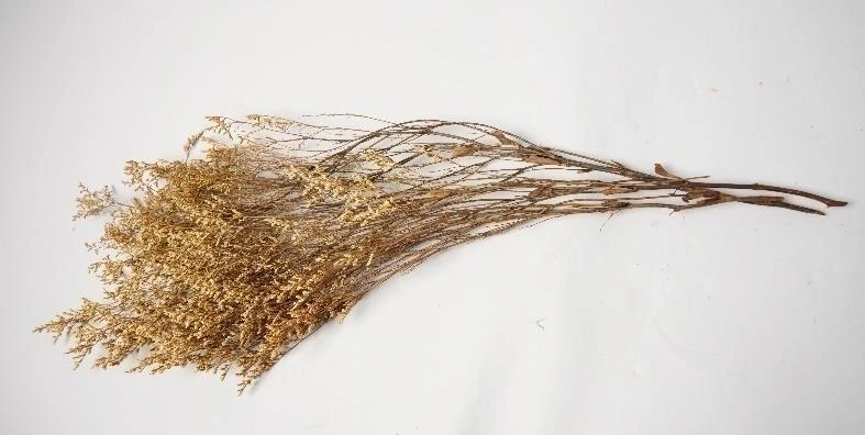 Real Dried Lemonium Bunch